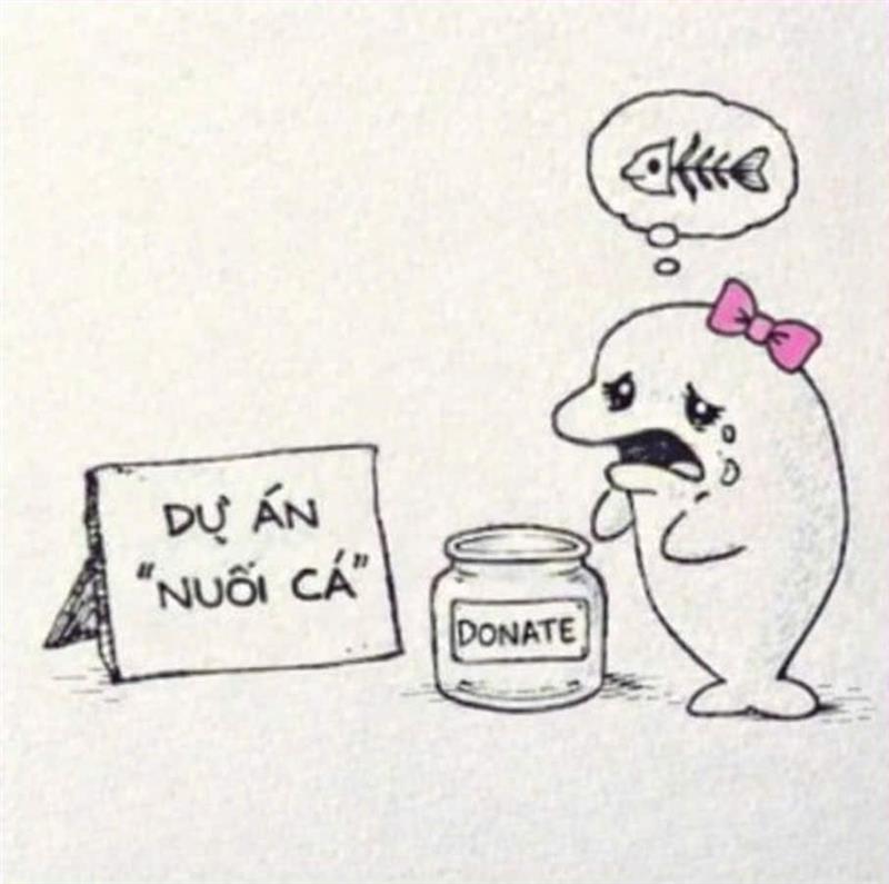 😿 Nuôi Cá Heoo nháa 😽